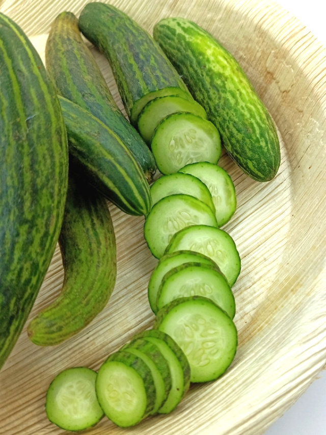 Cucumber-03-