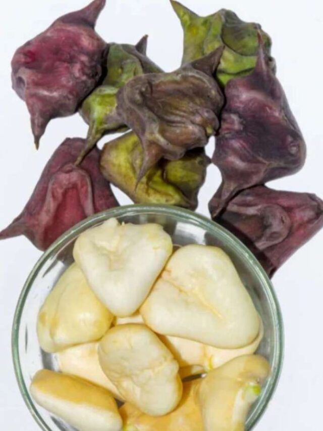 water-chestnut-benefits--1--1729827229-1730439759